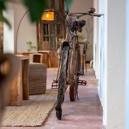 Es Niu De 3* Tamariu